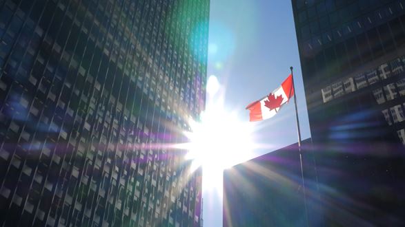 Crowe Canada