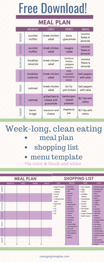 Meal plan download